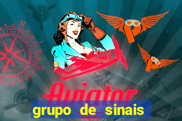 grupo de sinais fortune rabbit